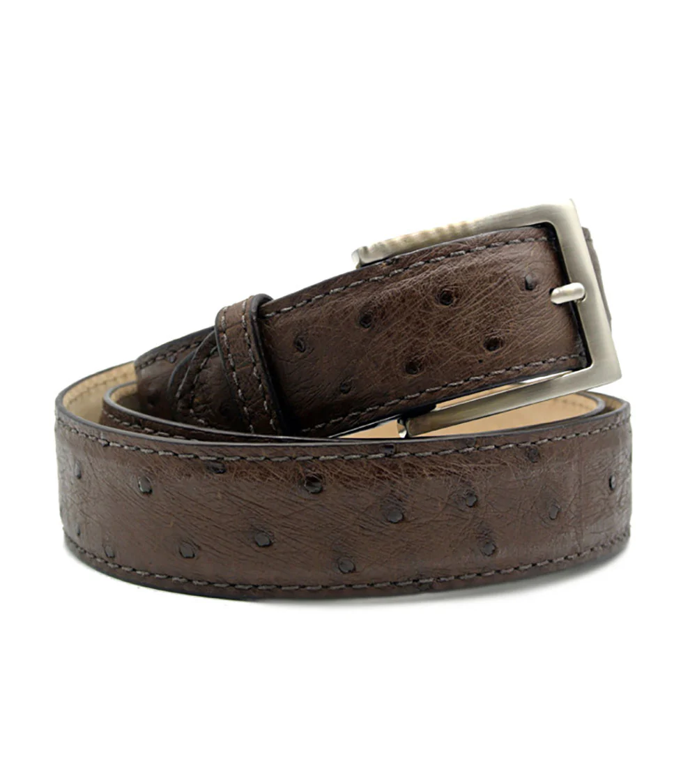 Zelli Genuine Ostrich Quill Belt - Image 2